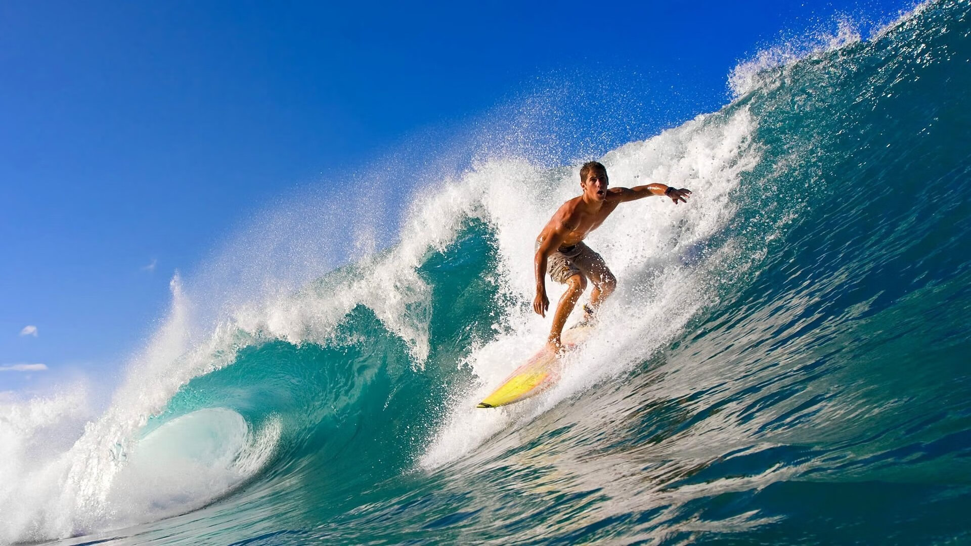 Chinese Taipei乒乓球队战术：从弱点挖掘到精准制敌，乒乓球在台湾叫什么